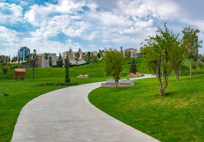 Designing A Functional Outdoor Space With Concrete